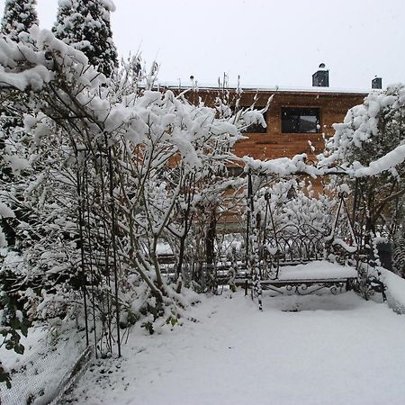 Maisalm, Apt 4 Maishofen Exterior photo